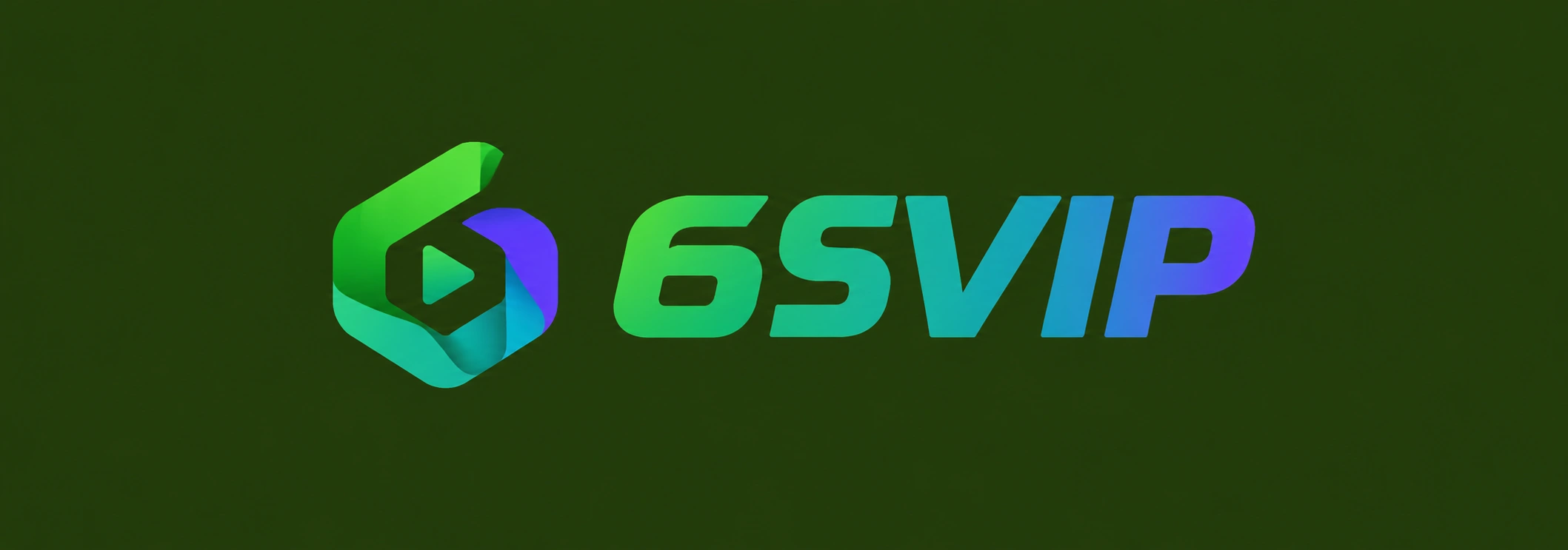 6SVIP Logo